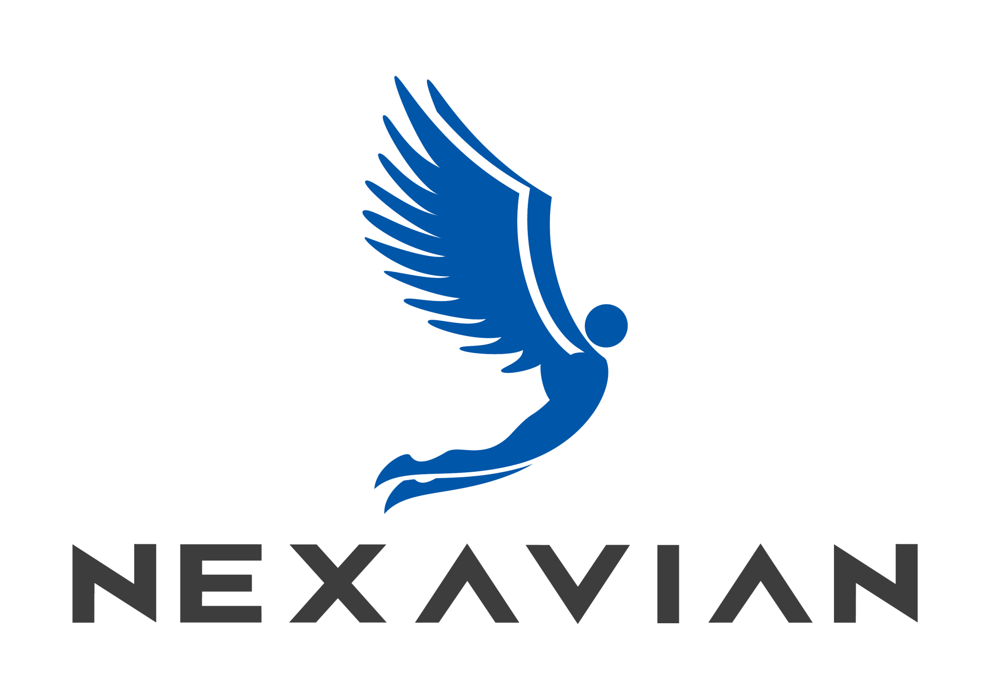 Logo Black NexAvian.png